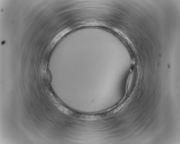 X0000085221273200704091922