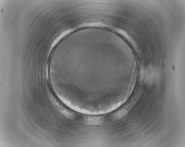 X0000085221274200704091922