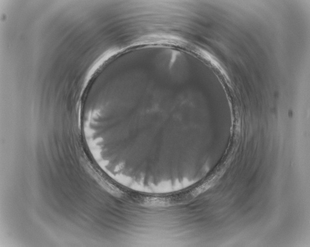 X0000085221275200704091922