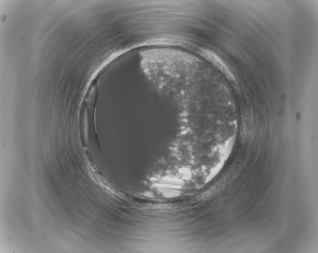 X0000085221276200704091922