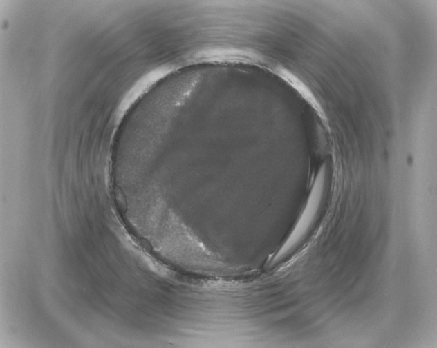 X0000085221277200704091922