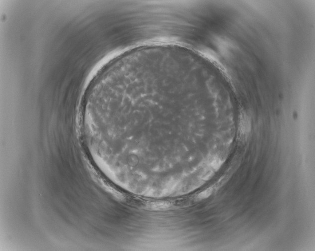 X0000085221278200704091922