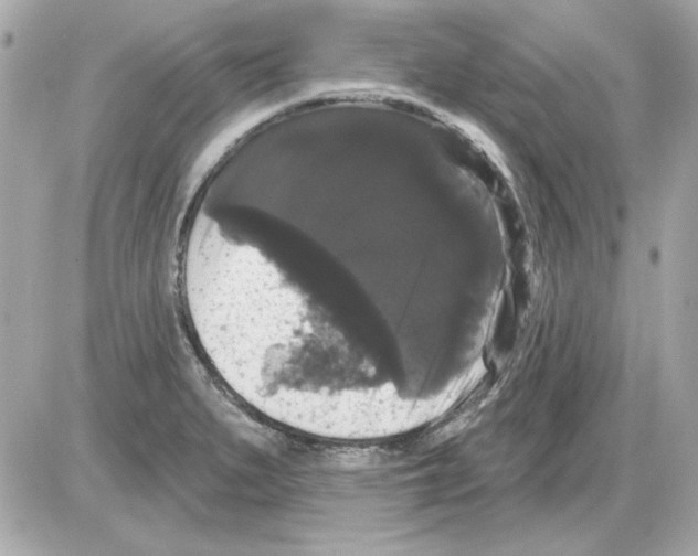 X0000085221279200704091922