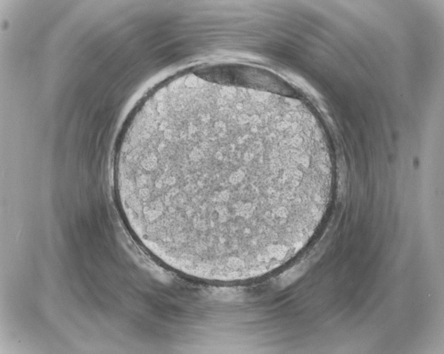 X0000085221280200704091922