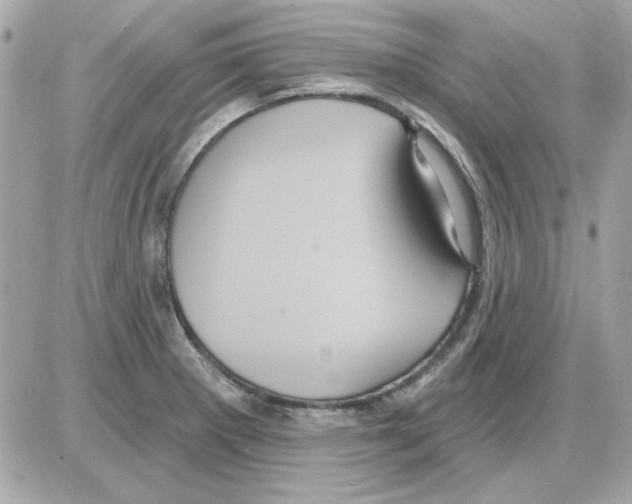 X0000085221281200704091922