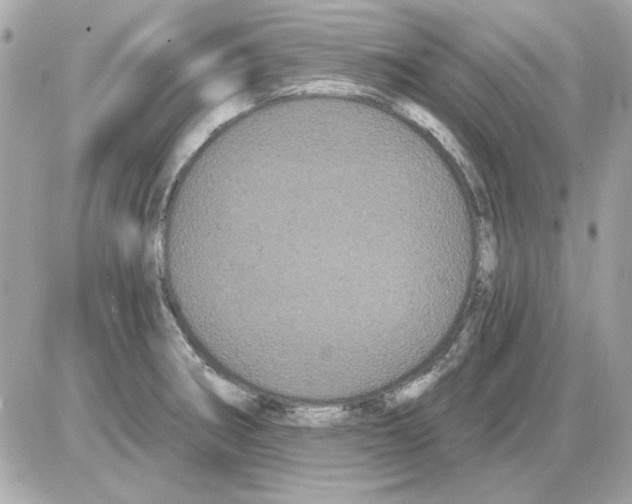 X0000085221282200704091922