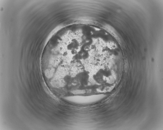 X0000085221283200704091922