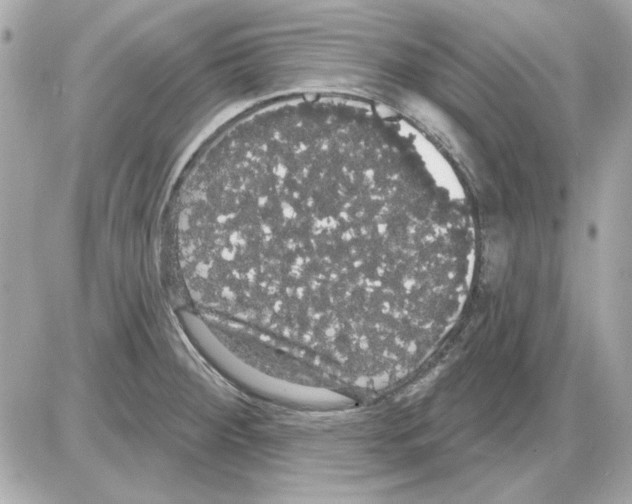 X0000085221284200704091922