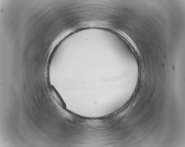 X0000085221285200704091922