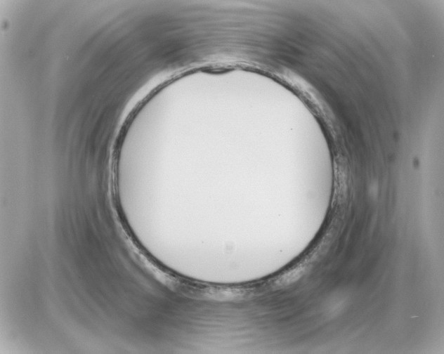 X0000085221286200704091922