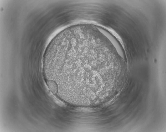 X0000085221287200704091922