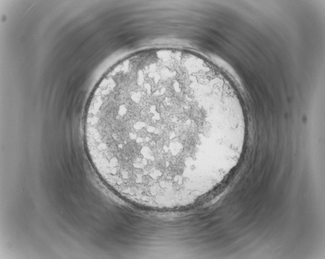 X0000085221288200704091922