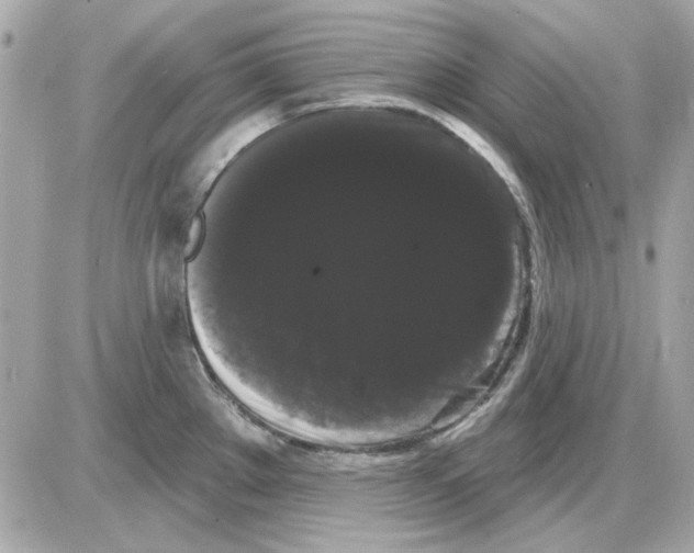 X0000085221289200704091922