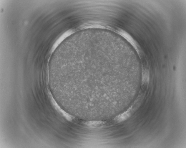 X0000085221290200704091922