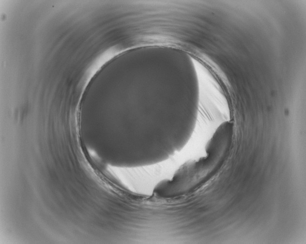 X0000085221291200704091922