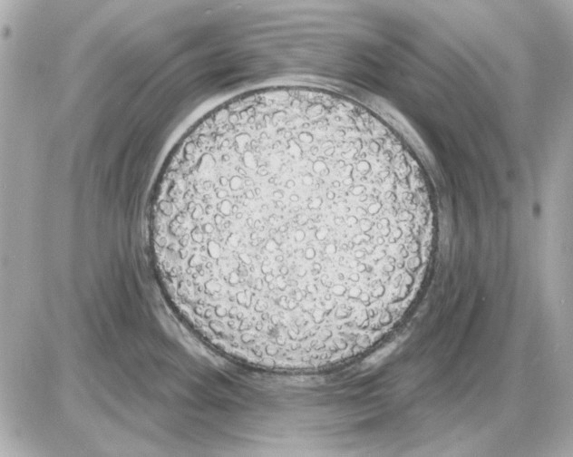 X0000085221292200704091922