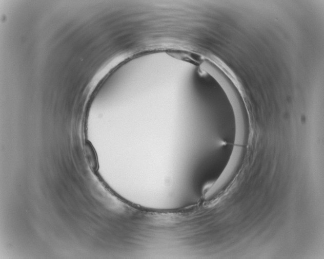 X0000085221293200704091922