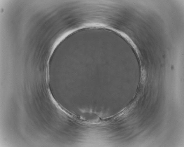 X0000085221295200704091922