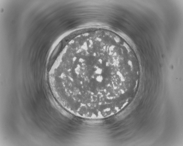 X0000085221296200704091922