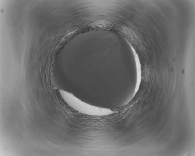 X0000085221297200704091921