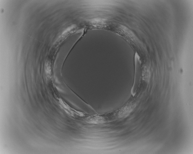 X0000085221298200704091921