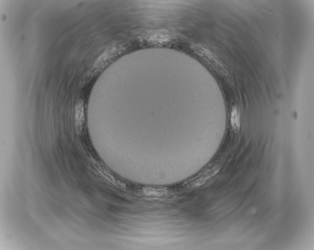 X0000085221299200704091921