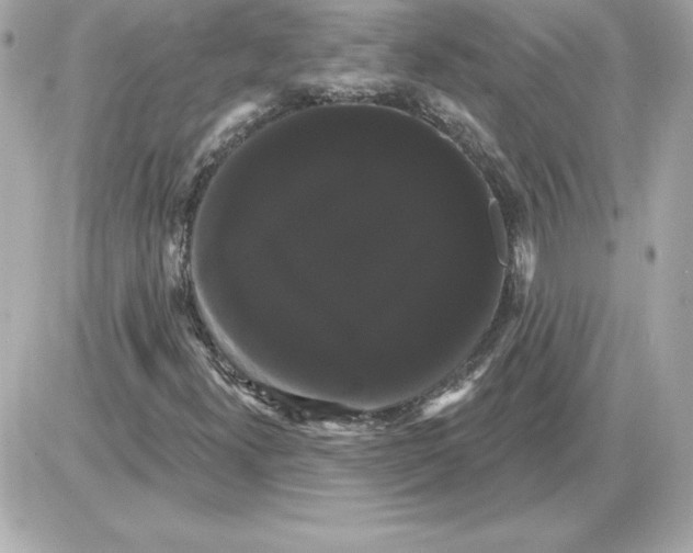 X0000085221300200704091921