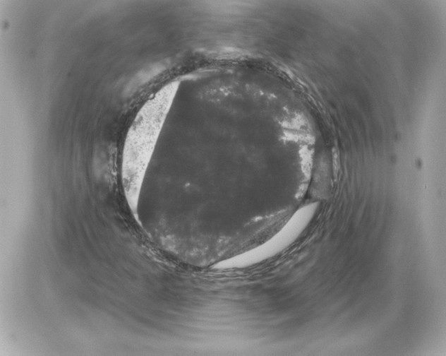 X0000085221301200704091921