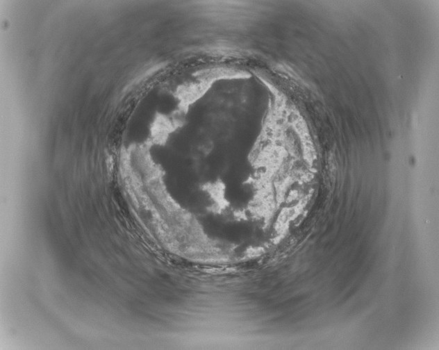 X0000085221302200704091921