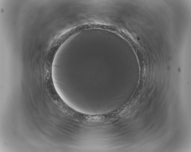 X0000085221303200704091921