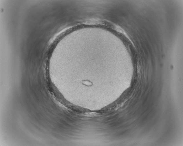 X0000085221304200704091921