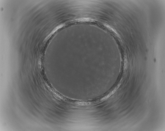 X0000085221305200704091921