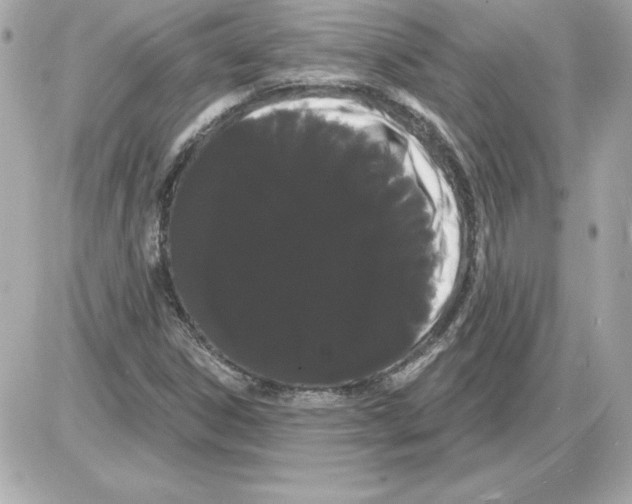 X0000085221306200704091921