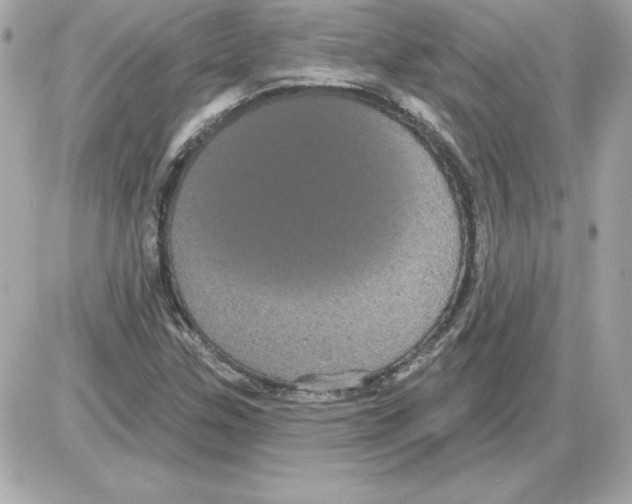 X0000085221307200704091921