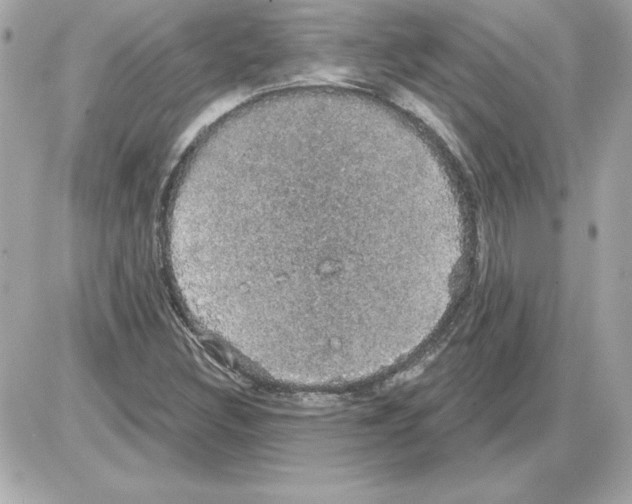 X0000085221308200704091921