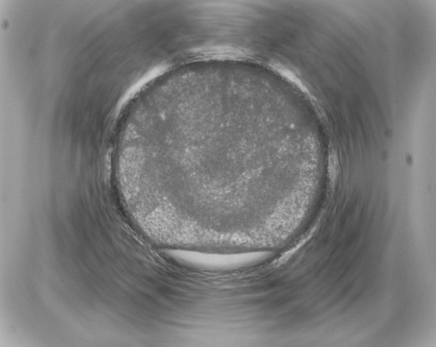 X0000085221309200704091921