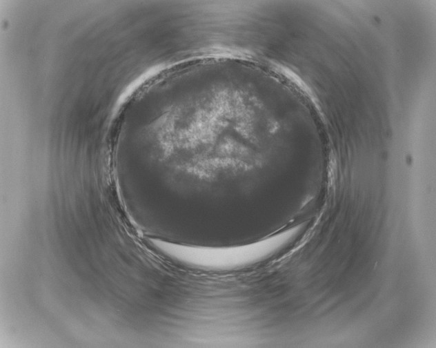 X0000085221310200704091921