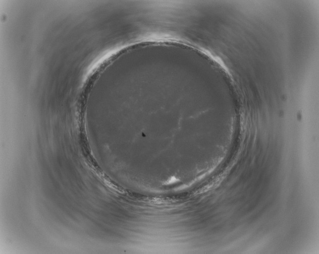 X0000085221311200704091922