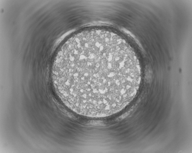 X0000085221313200704091922