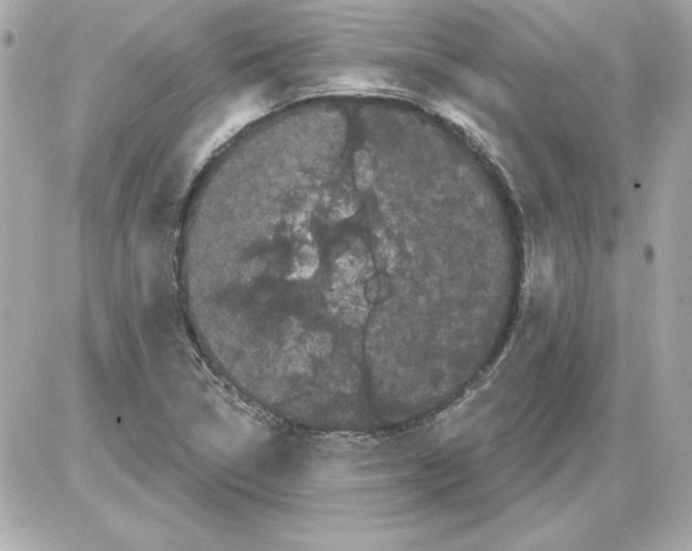 X0000085221314200704091922