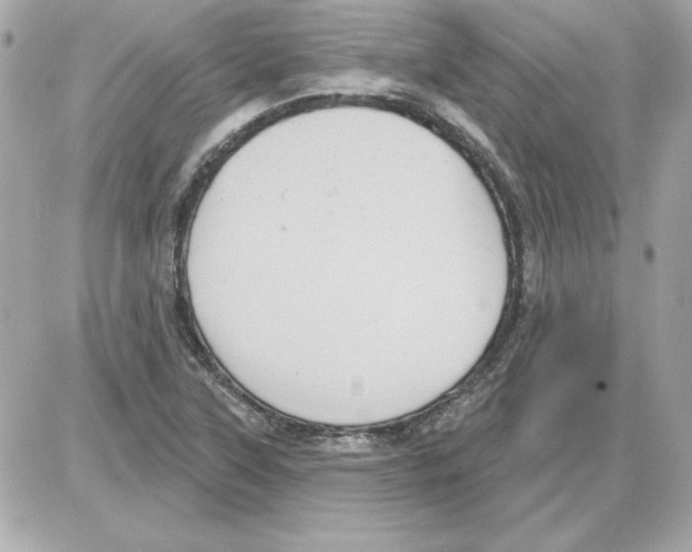 X0000085221315200704091922