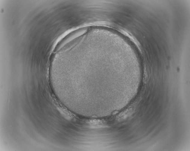 X0000085221316200704091922