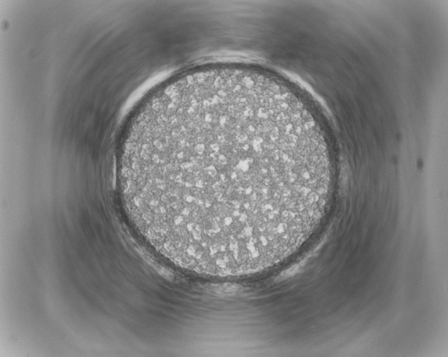 X0000085221317200704091922