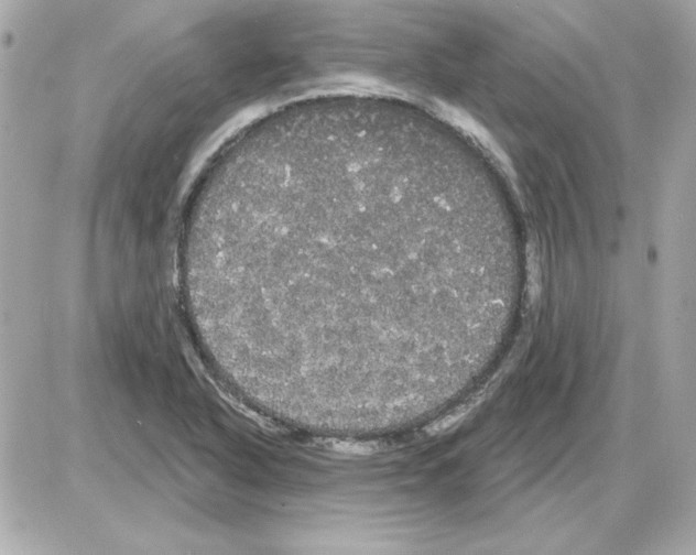 X0000085221318200704091922