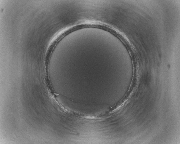 X0000085221319200704091922