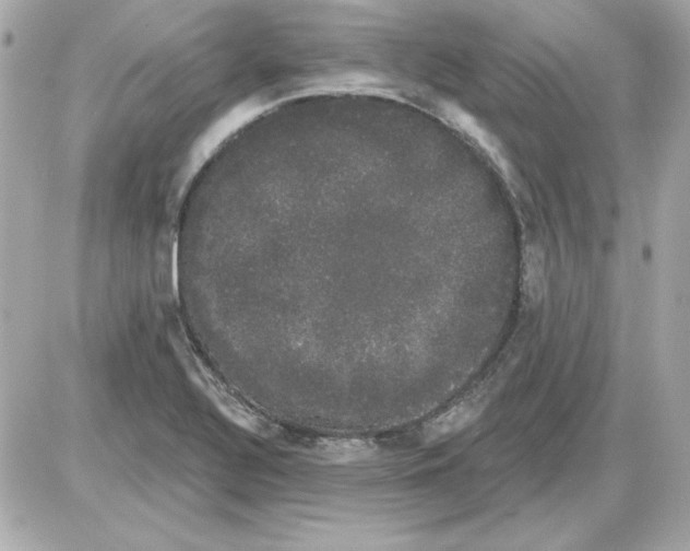 X0000085221320200704091922