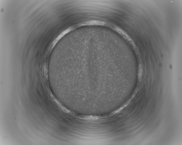 X0000085221321200704091922