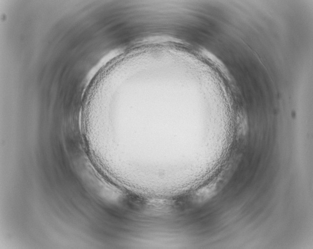 X0000085221322200704091922