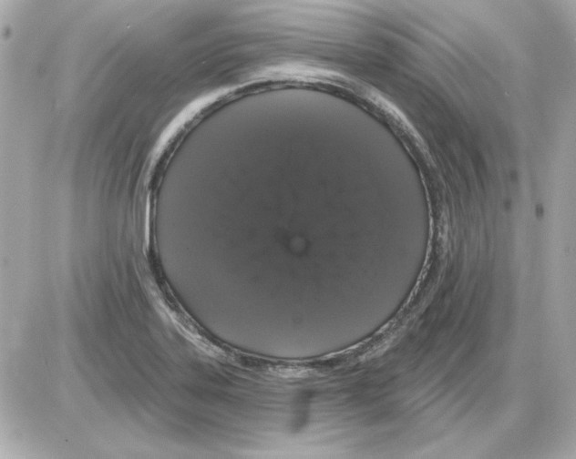 X0000085221323200704091922