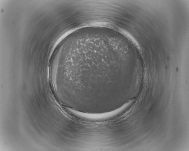 X0000085221324200704091922